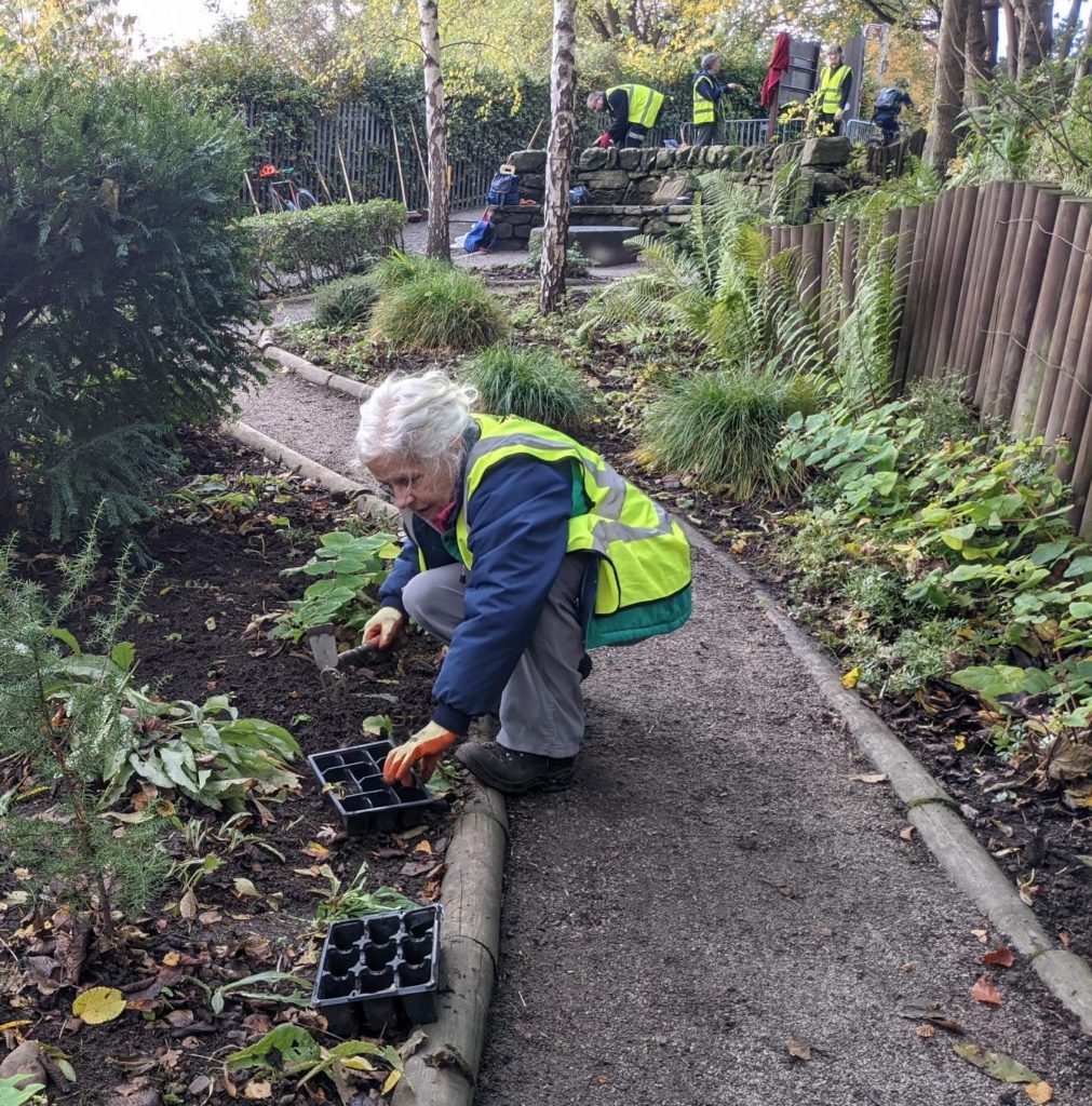 Planting