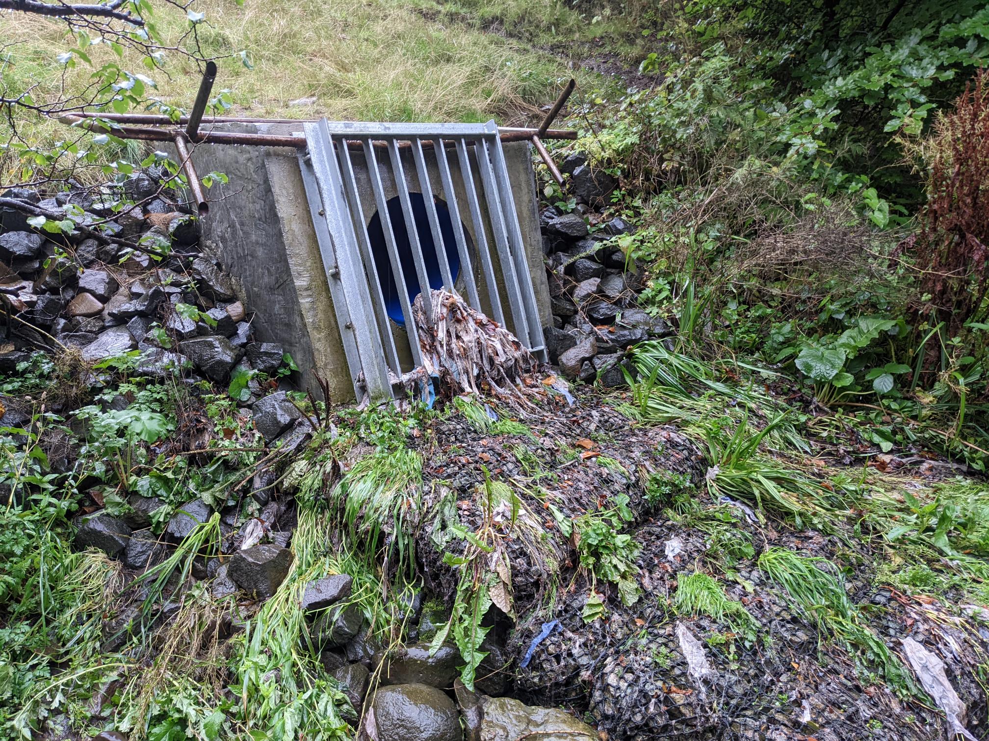The Interceptor Sewers; how Victorian Edinburgh cleaned up the Water of
